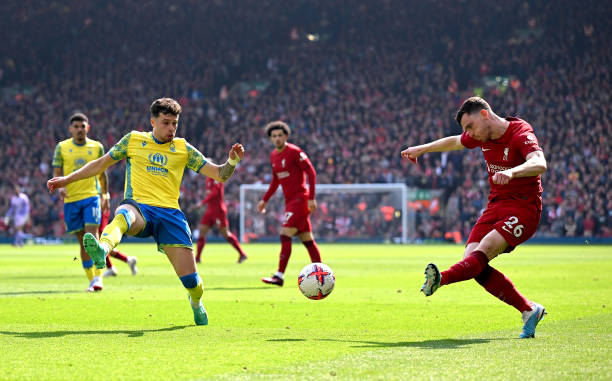 打法已经植 打法已经植